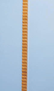 Shoulder / Finger Exercise Ladder