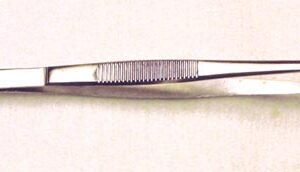 Tissue Forceps 5  1x2 Teeth