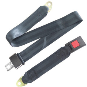 Buckle Up(TM) Wheelchair Seat Belt