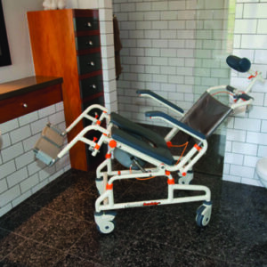 TubBuddy Bathing System With Tilt